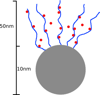 nanoparticle schematic