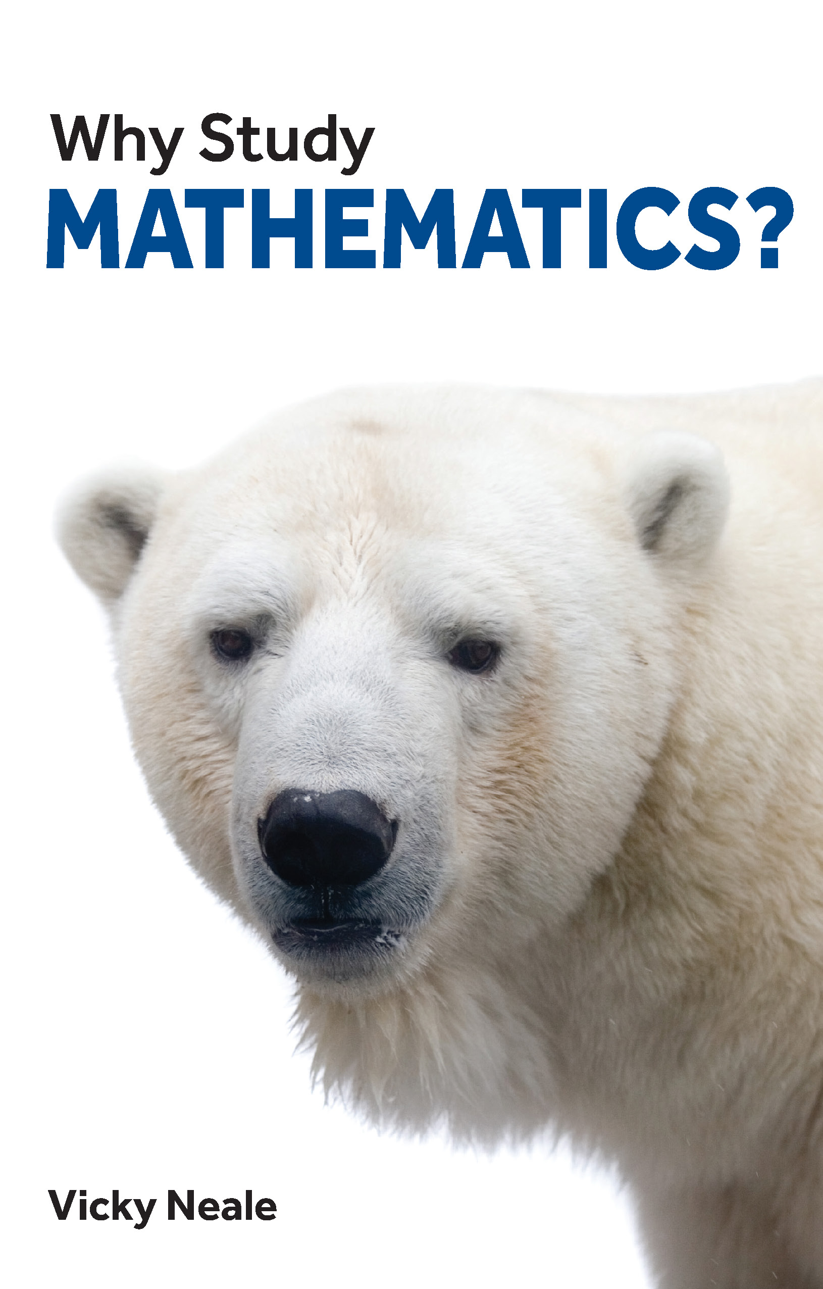Photo of Why Study Mathematics? cover